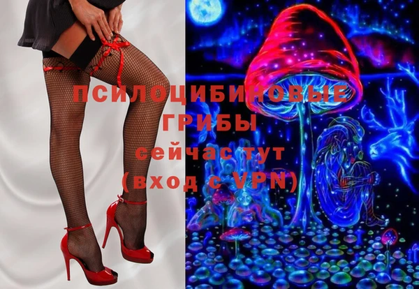 дурь Кодинск