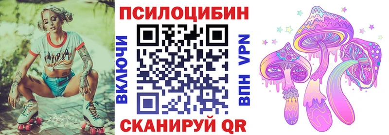 наркотики  Динская  ОМГ ОМГ ТОР  Псилоцибиновые грибы Cubensis 